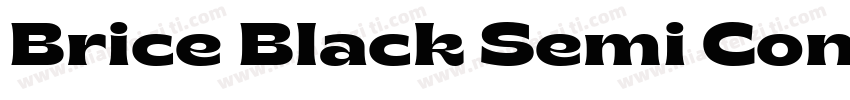 Brice Black Semi Con字体转换